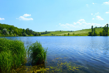 Similar image 187716