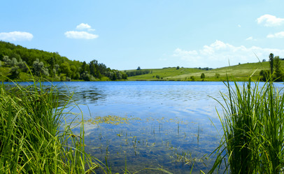 Similar image 187717