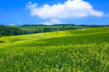 Similar image 187718