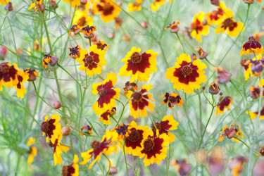 Similar image 187733