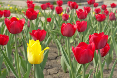 Similar image 187734