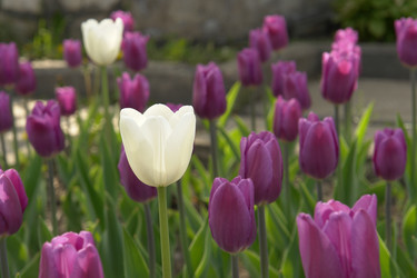 Similar image 187735