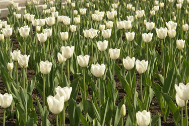 Similar image 187737