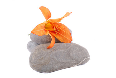 Similar image 187741