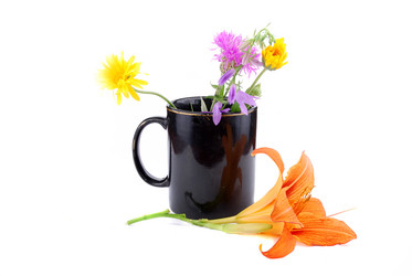 Similar image 187742