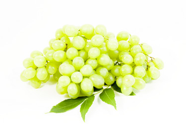 Similar image 187752