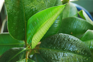 Similar image 187789