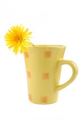 Similar image 187797