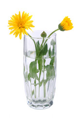 Similar image 187798