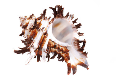 Similar image 187799