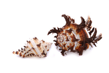 Similar image 187800