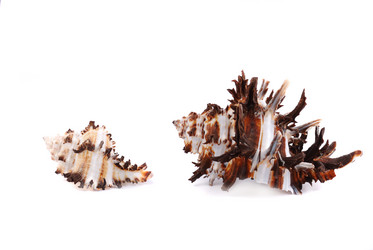 Similar image 187801