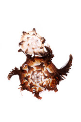 Similar image 187802