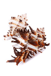 Similar image 187804