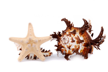 Similar image 187805