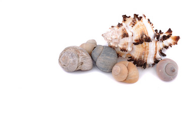 Similar image 187806