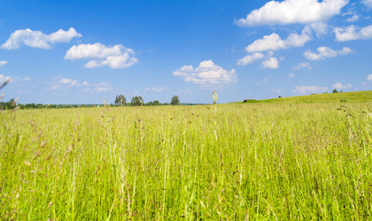 Similar image 187817