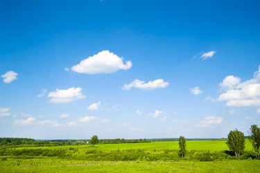 Similar image 187818