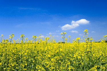 Similar image 187820