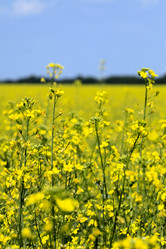 Similar image 187821