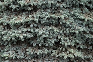 Similar image 187861