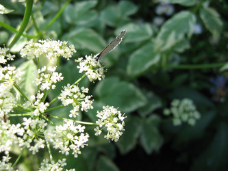 Similar image 187862