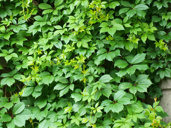 Similar image 187863