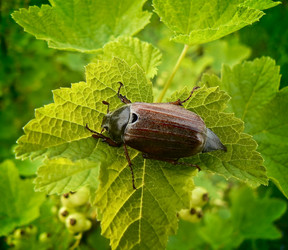 Similar image 187864