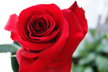 Similar image 187871