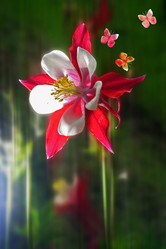 Similar image 187873