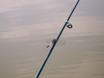 Similar image 187908