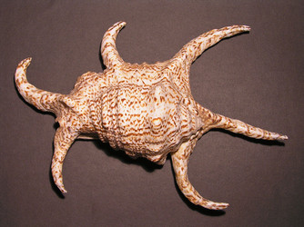 Similar image 187914