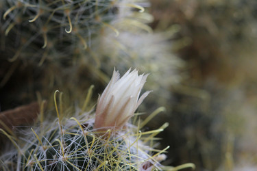 Similar image 187928