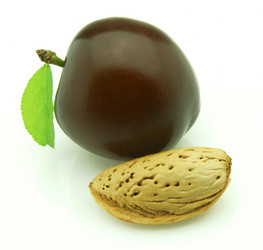 Similar image 187943