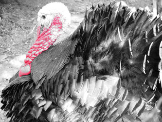 Similar image 187952