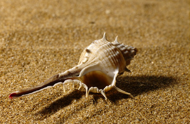 Similar image 187958