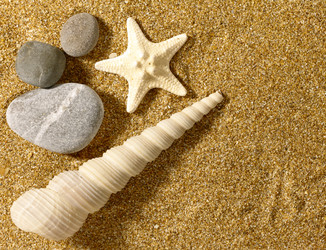 Similar image 187974