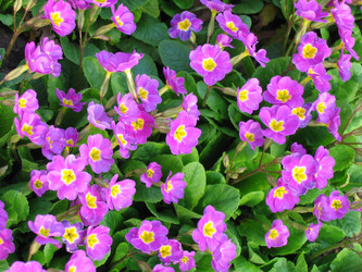 Similar image 187979