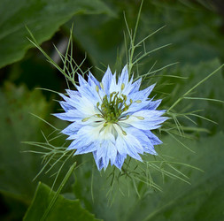 Similar image 187982