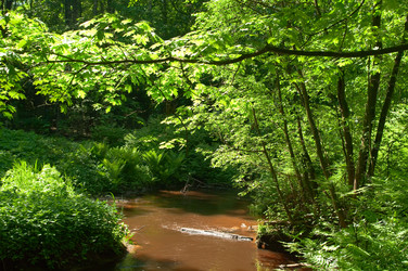 Similar image 187983