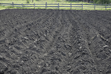 Similar image 187988