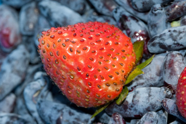 Similar image 187991