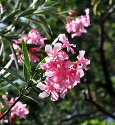 Similar image 188006