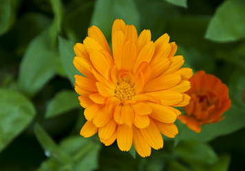 Similar image 188020