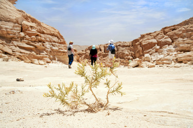 Similar image 188034