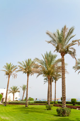 Similar image 188041