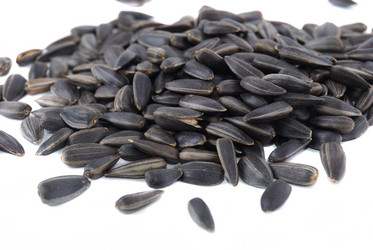 Similar image 188064