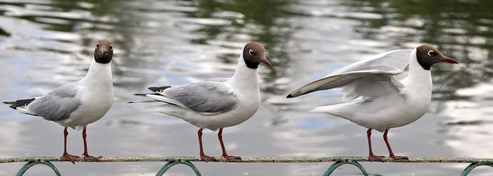 Similar image 188108