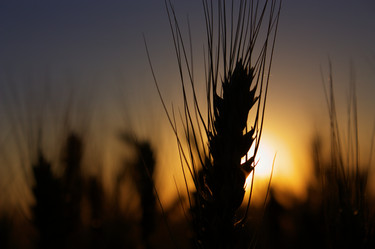 Similar image 188123