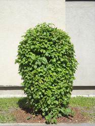 Similar image 188134